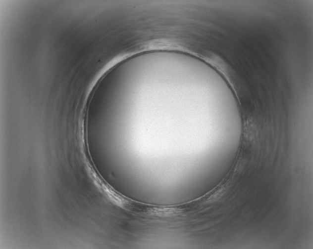 X0000080691150200612151242