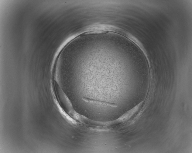 X0000080691152200612151242