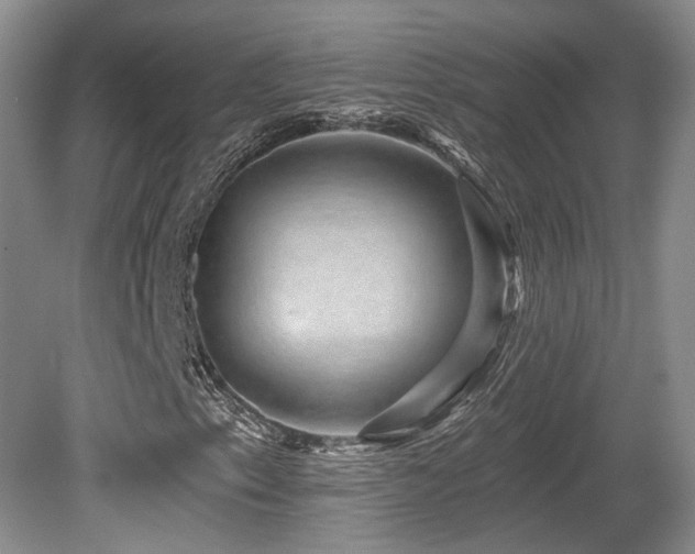 X0000080691153200612151241