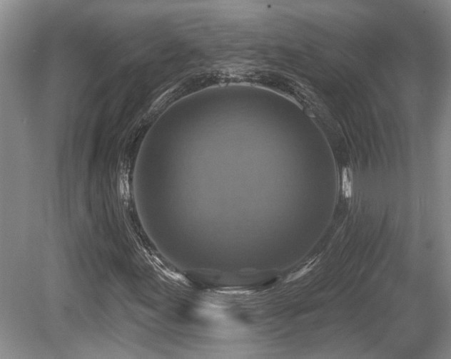X0000080691155200612151241
