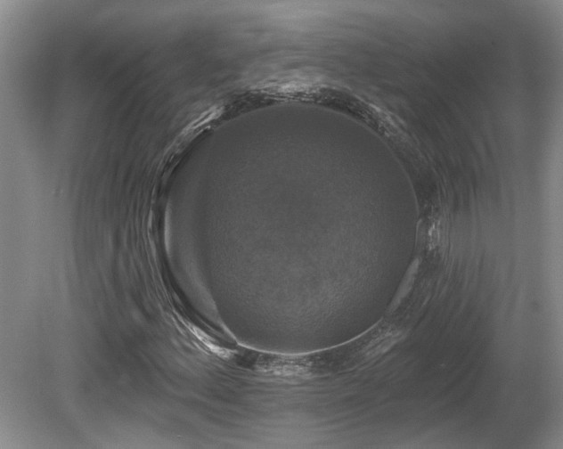 X0000080691156200612151241