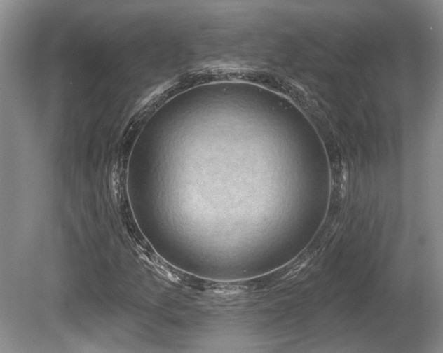 X0000080691157200612151241