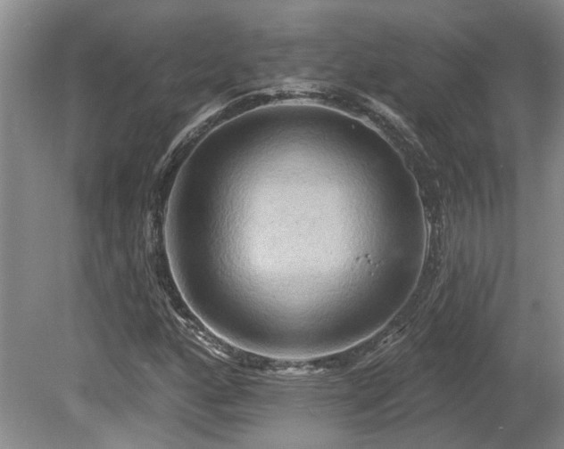 X0000080691160200612151241