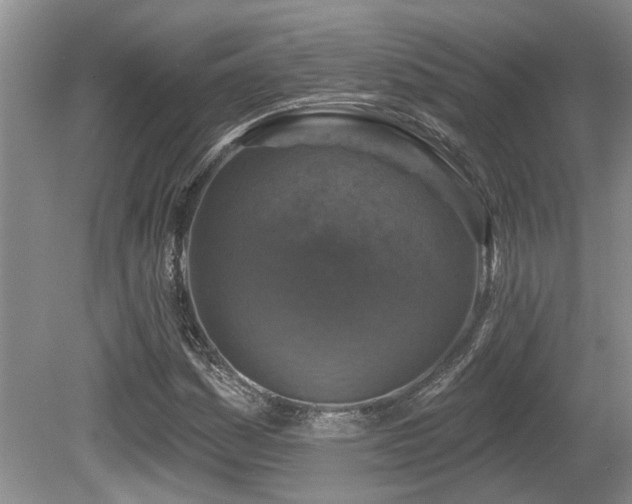 X0000080691161200612151241