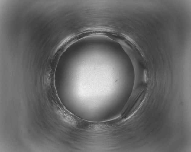 X0000080691163200612151241