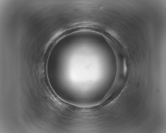 X0000080691164200612151241