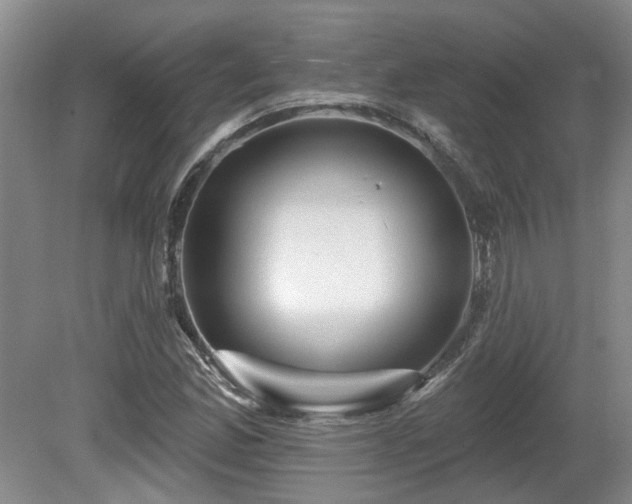 X0000080691165200612151241