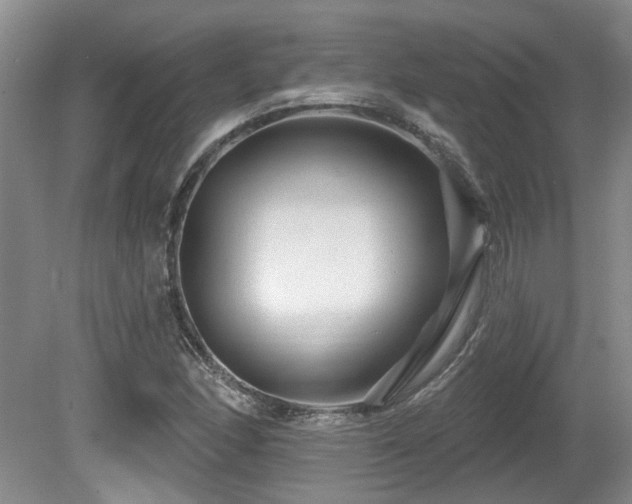 X0000080691166200612151241