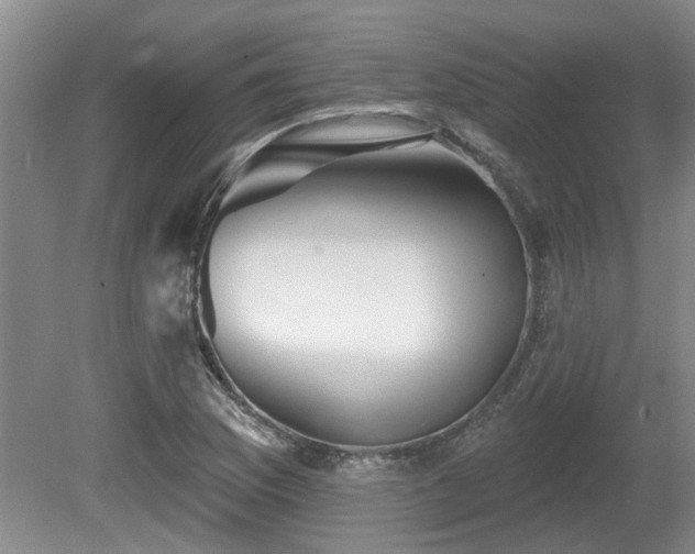 X0000080691169200612151241