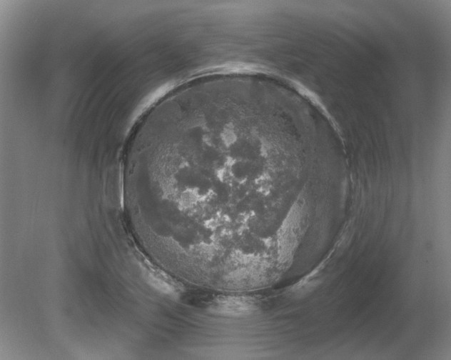 X0000080691171200612151241