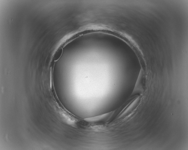 X0000080691175200612151241