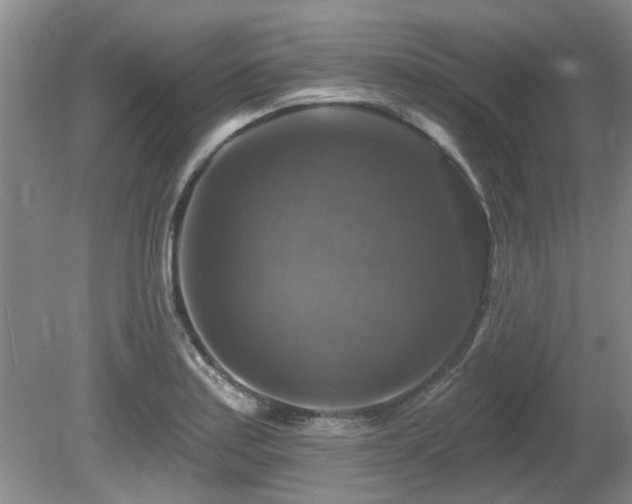 X0000080691179200612151241
