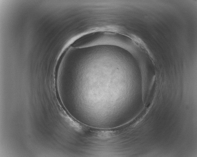 X0000080691184200612151241