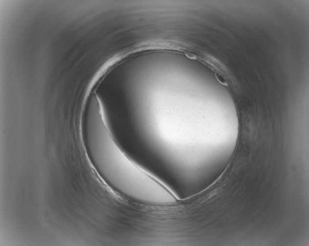 X0000080691188200612151241