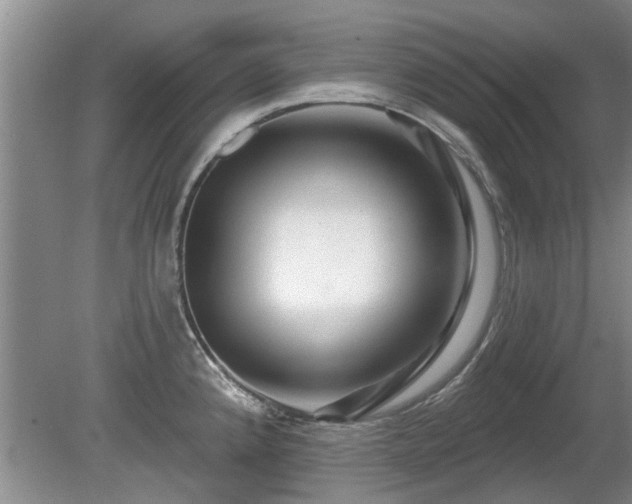 X0000080691192200612151241