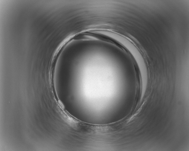 X0000080691196200612151241
