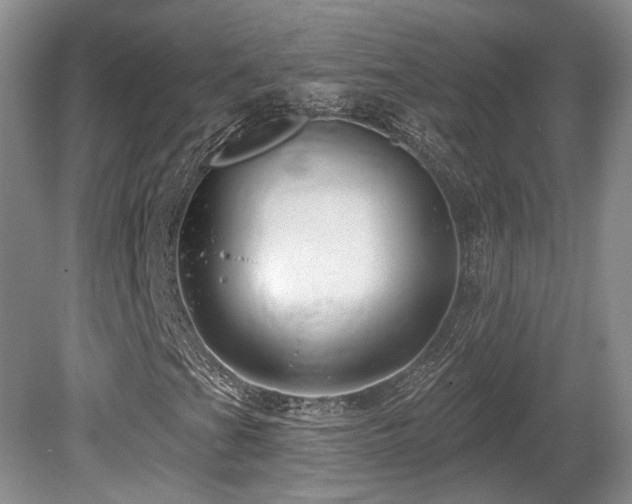 X0000080691201200612151240