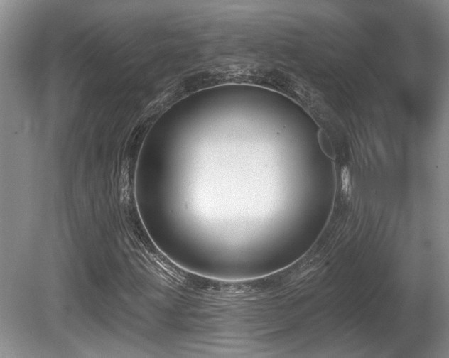X0000080691203200612151240