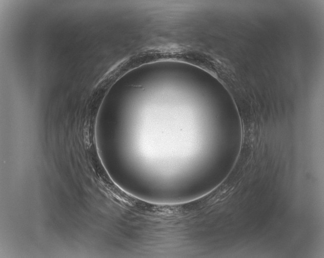 X0000080691205200612151240