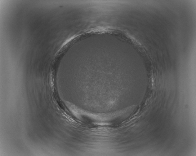 X0000080691206200612151240