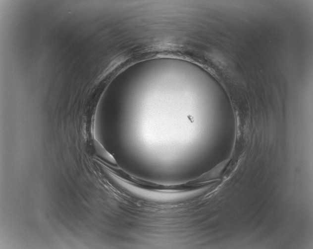 X0000080691209200612151240