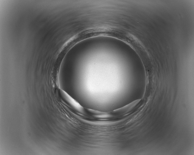 X0000080691210200612151240