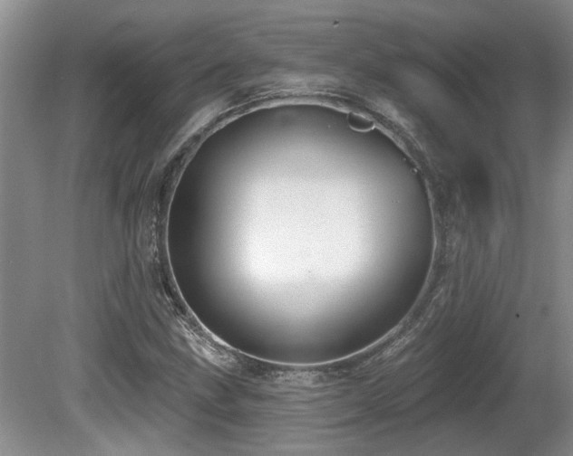 X0000080691211200612151240