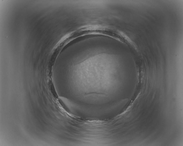 X0000080691213200612151240