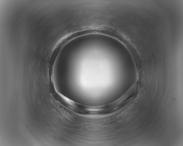 X0000080691214200612151240