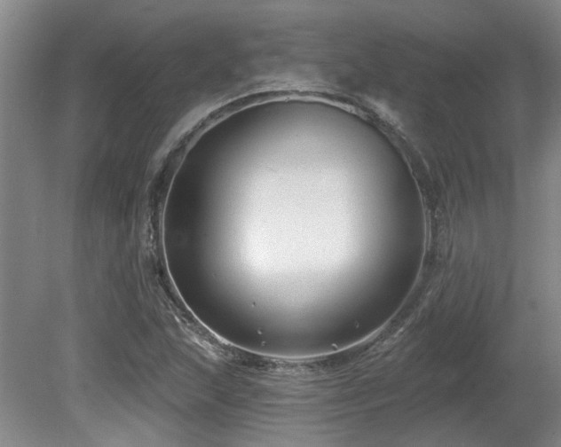 X0000080691215200612151240