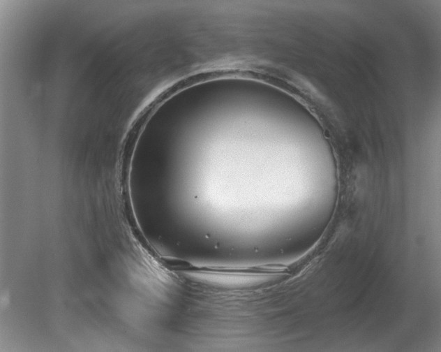 X0000080691216200612151240