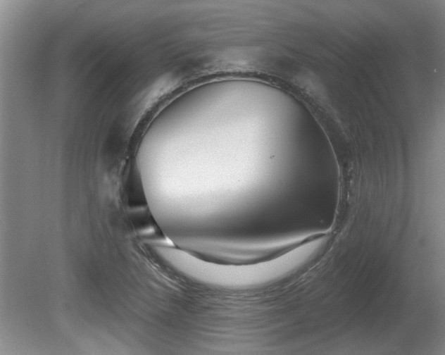 X0000080691218200612151240