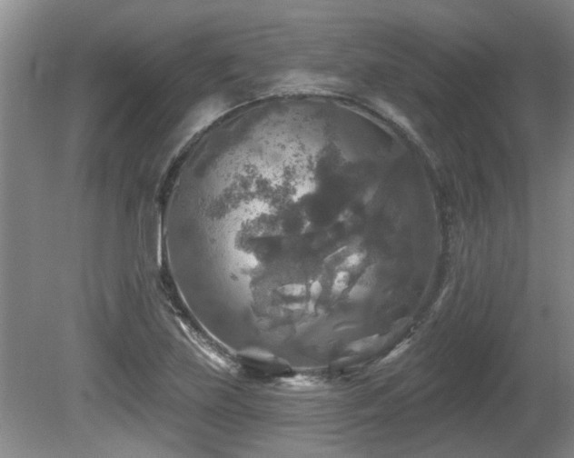 X0000080691219200612151240