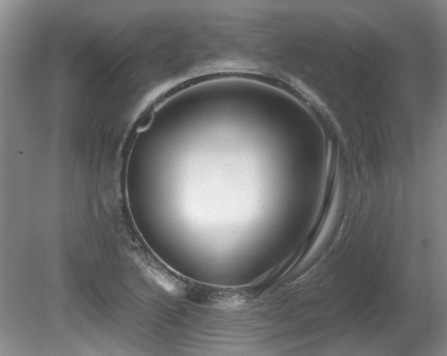X0000080691222200612151240