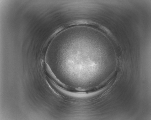 X0000080691225200612151240