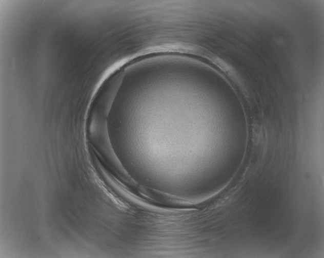 X0000080691230200612151240