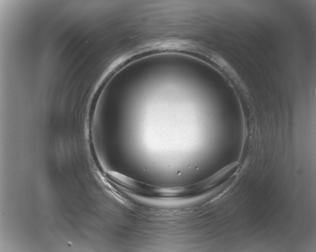X0000080691232200612151240