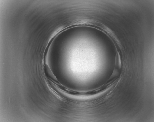 X0000080691234200612151240