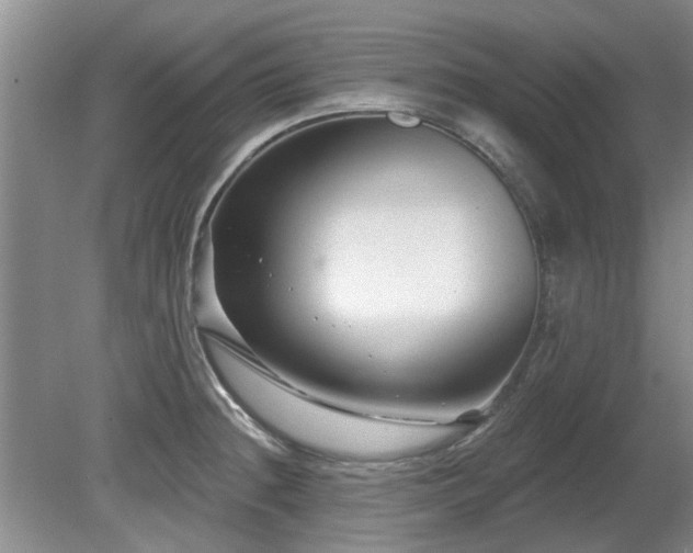 X0000080691236200612151240