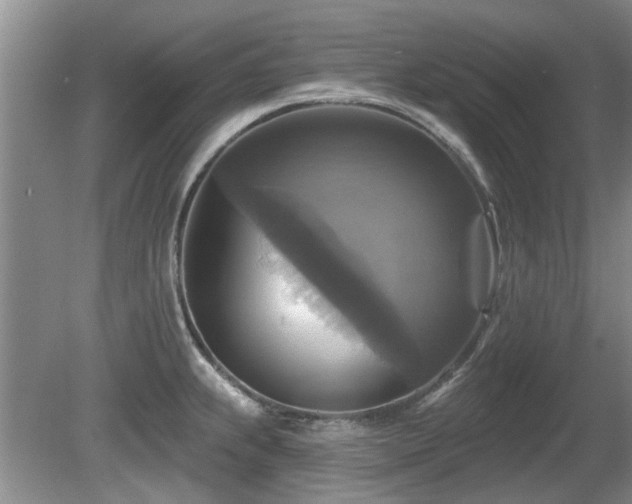 X0000080691239200612151240