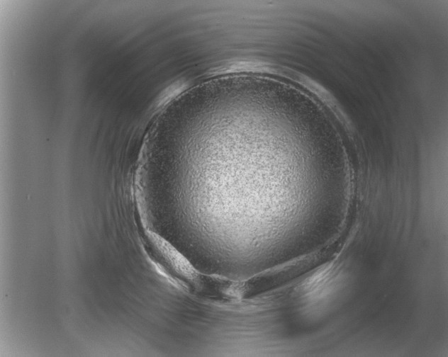 X0000080691241200612151240