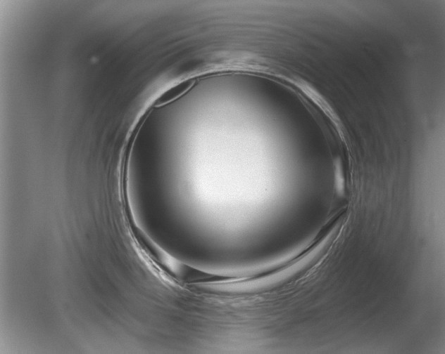 X0000080691246200612151241