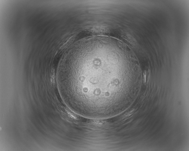 X0000080691251200612151240