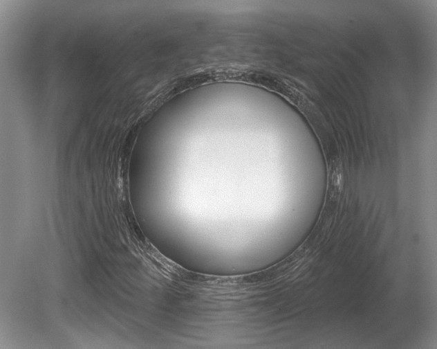 X0000080691252200612151240