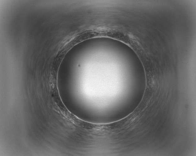 X0000080691253200612151240