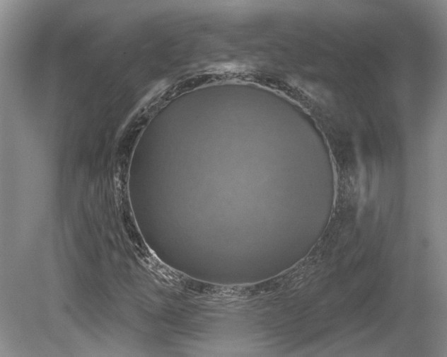 X0000080691254200612151240