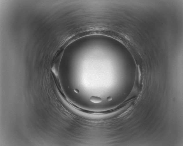 X0000080691257200612151240