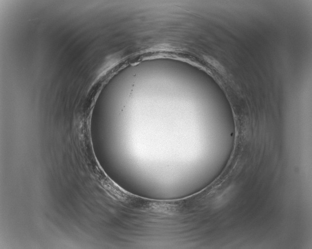 X0000080691258200612151240