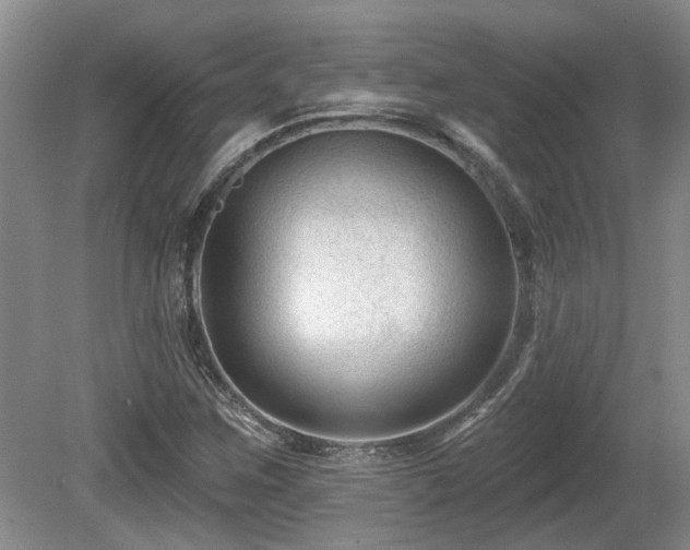 X0000080691259200612151240