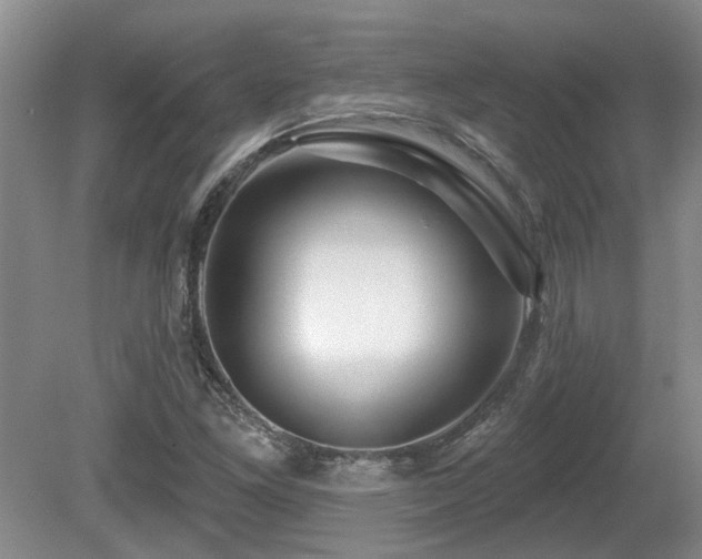 X0000080691261200612151240